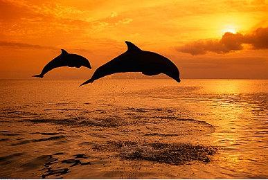 《Electrogical》Steam试玩发布 创意解谜新游