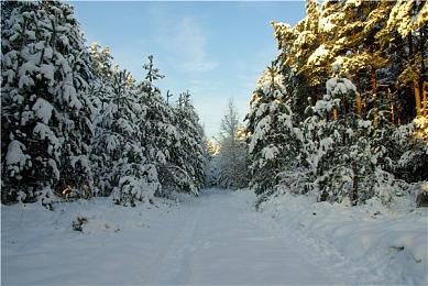 《怪物猎人：荒野》PC平台公开测试开启 Steam在线峰值突破46万